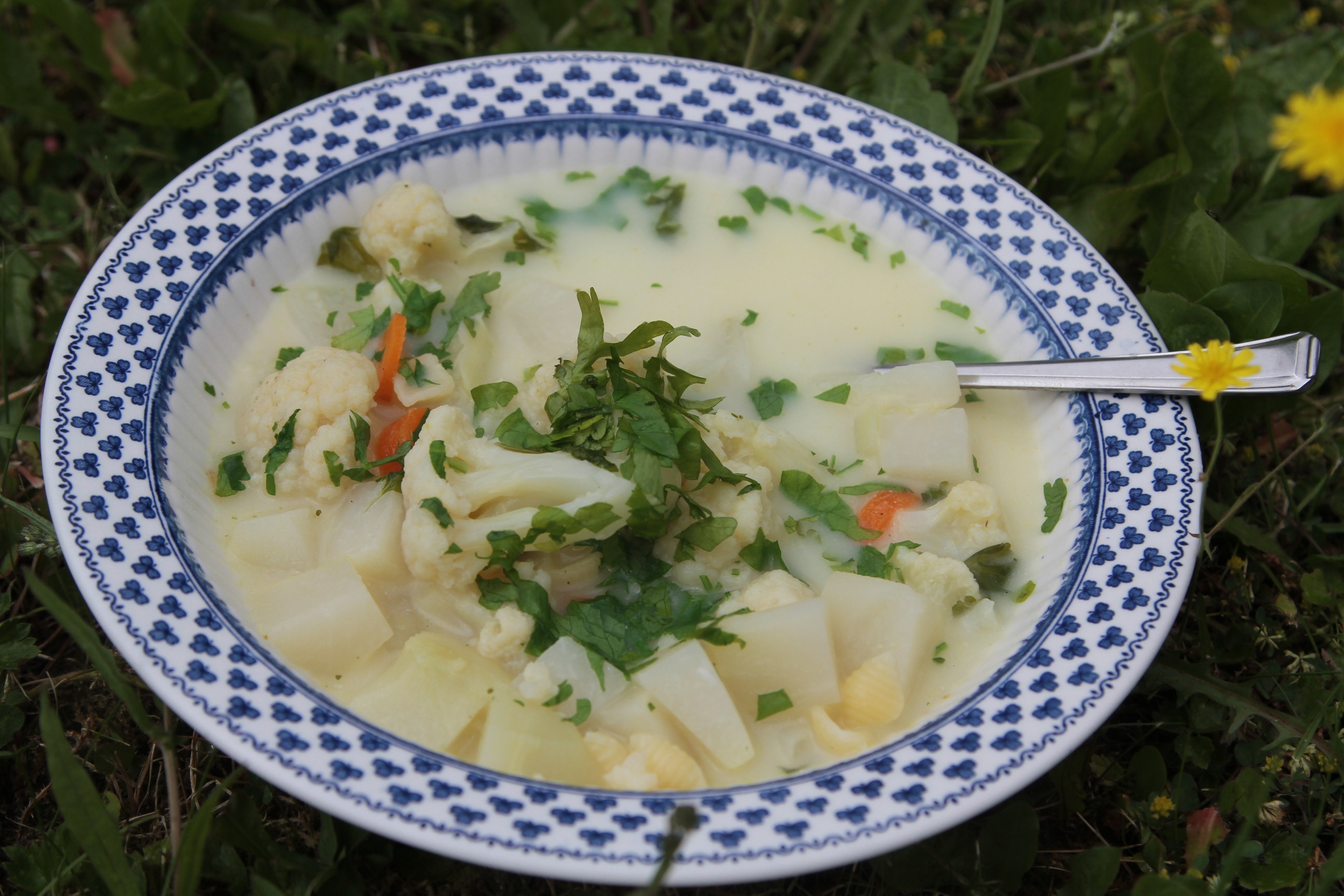 zupa kalafiorowa